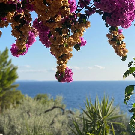 Casa Fortuna سفيتا نيدلجا المظهر الخارجي الصورة